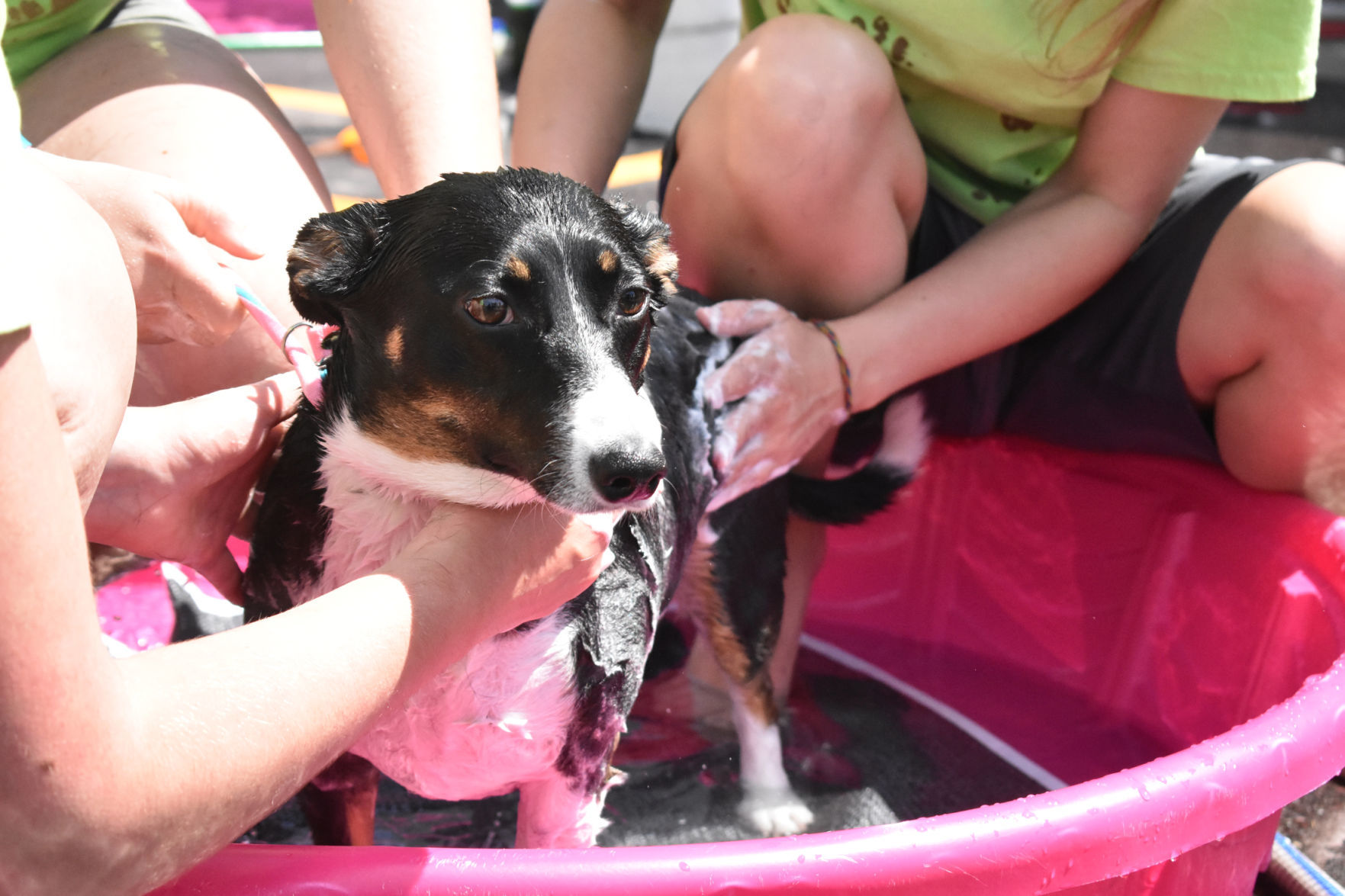 Sitting through bathtime
